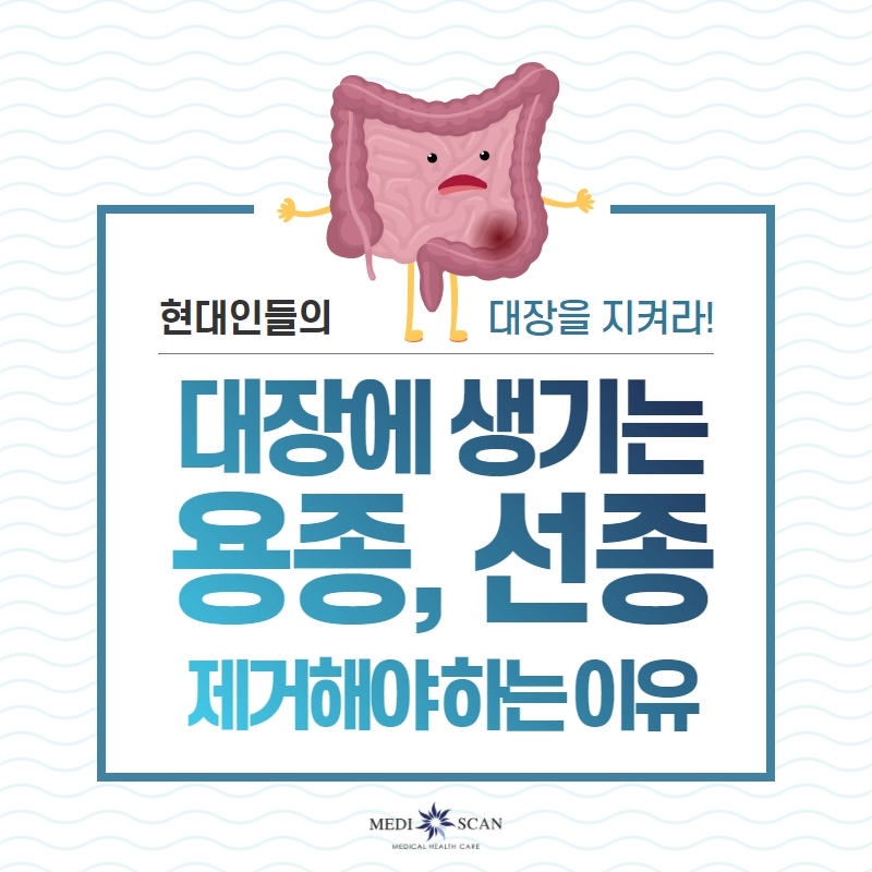 48+ 에 11 대장에 생기는 용종? 선종? 제거 해야 하는 이유는? - 카드뉴스 - 고객센터 - 메디스캔의원